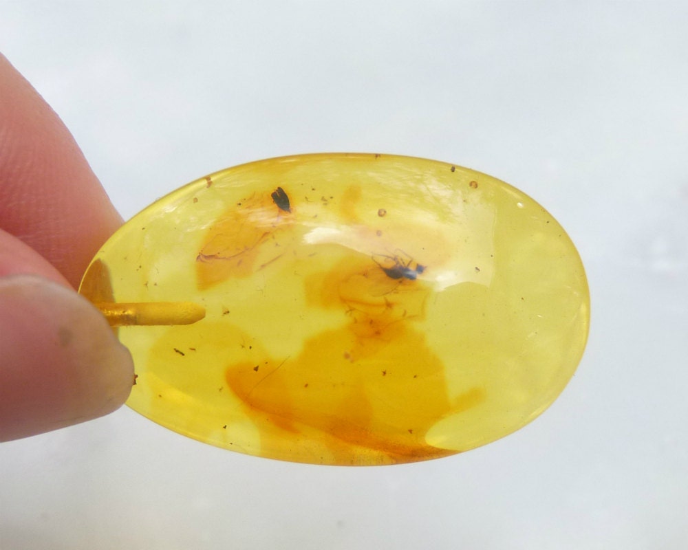 Baltic Amber Pendant with Fossil Insect Oval 1.8" 3.7 gram 925 Silver