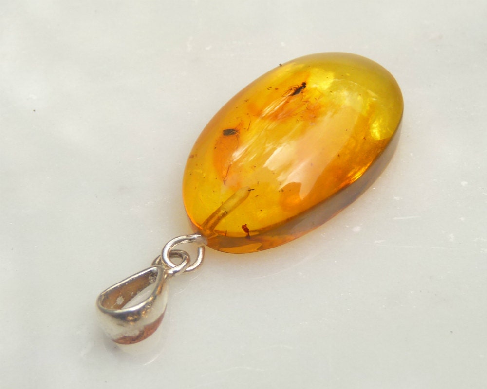 Baltic Amber Pendant with Fossil Insect Oval 1.8" 3.7 gram 925 Silver