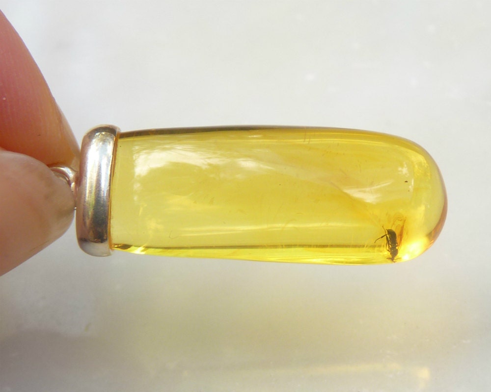 Baltic Amber Pendant with Fossil Insects Fly 1.57" Natural Honey 3.1 gram 925 Silver