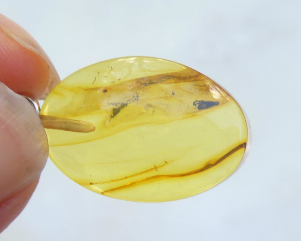 Baltic Amber Pendant with Fossil Insects Oval Natural Untreated Honey 1.34" 2 gram 925 Silver