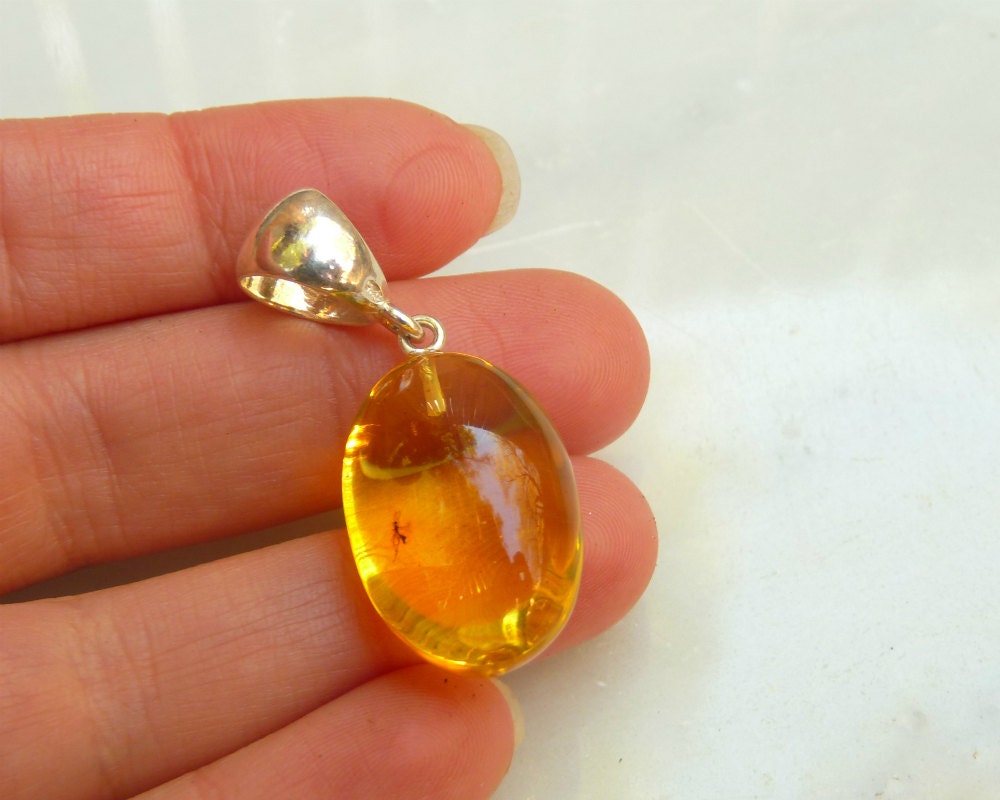 Baltic Amber Pendant with Fossil Insect Egg Shape Natural Untreated Honey Unisex 1.57" 4.3 gram