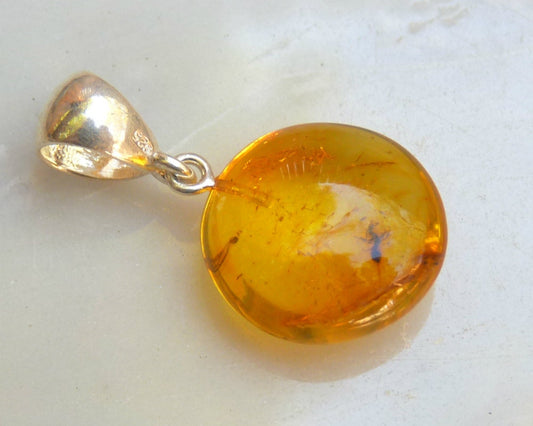 Baltic Amber Pendant with Fossil Insect Round Natural Untreated 1.26" 2.7 gram