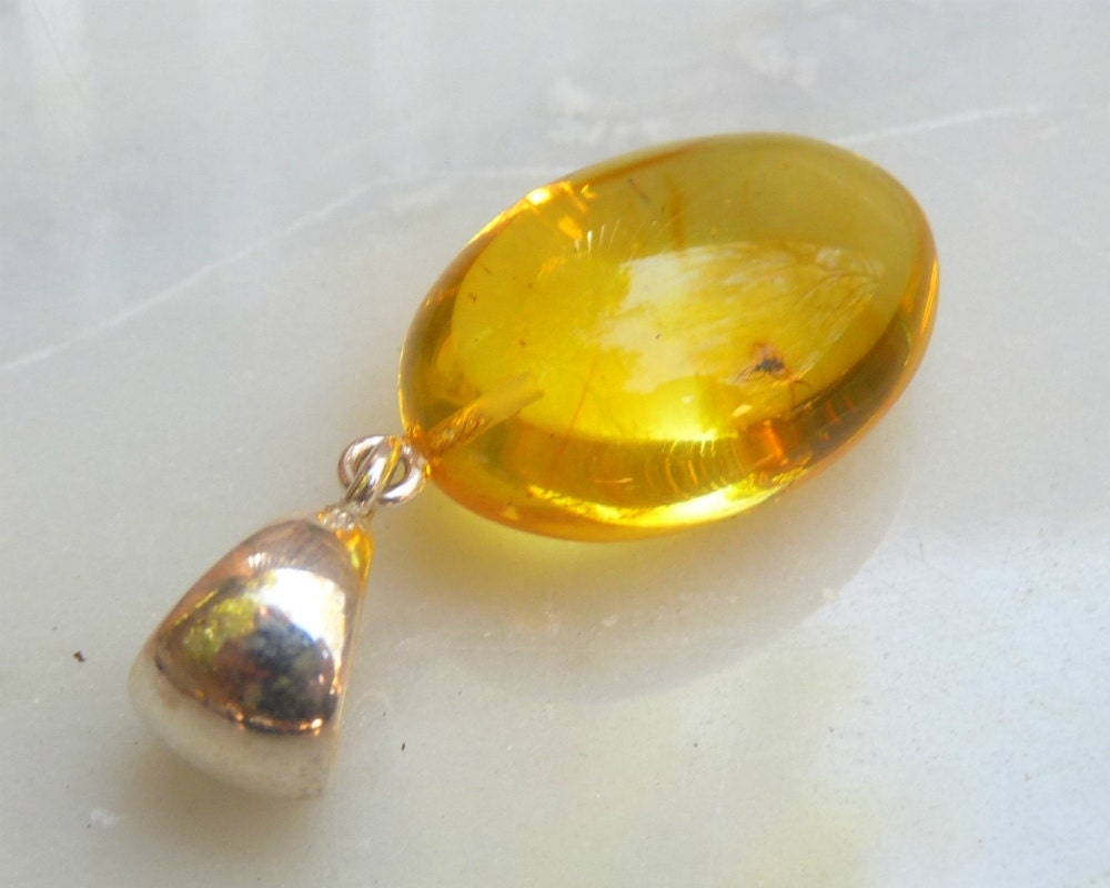 Baltic Amber Pendant with Fossil Insect Egg Shape Natural Untreated Honey Unisex 1.57" 4.3 gram