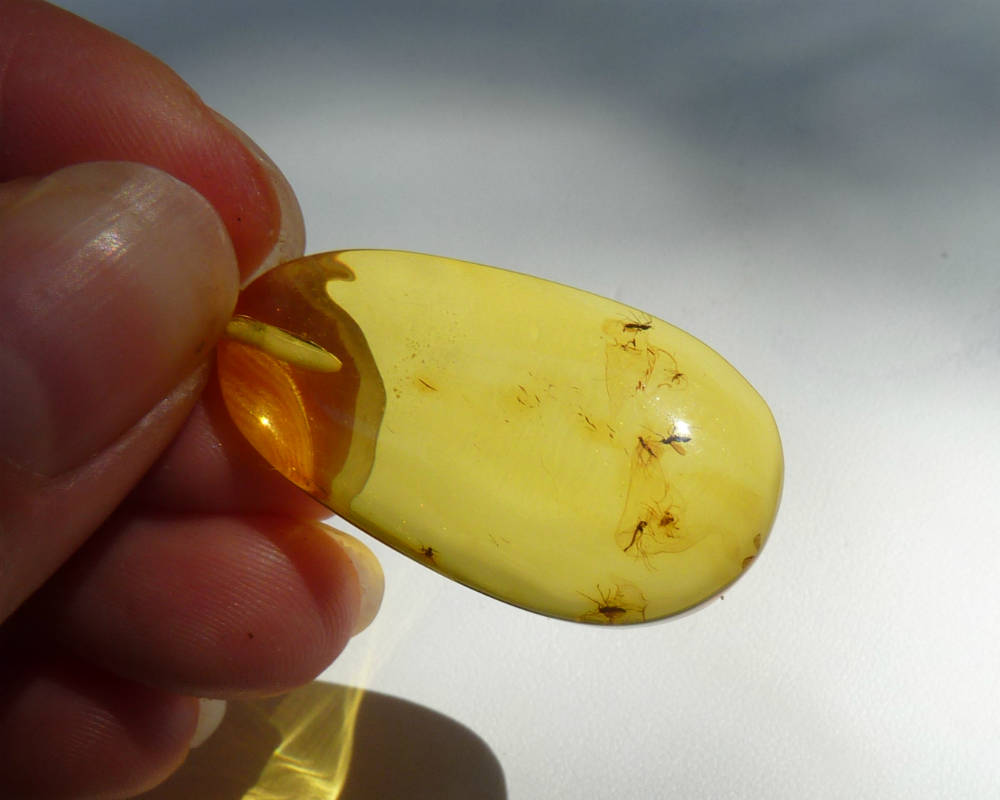 Baltic Amber Pendant with Fossil Insects Natural Yellow Drop 1.87" 4.8 gram gram 925 Silver