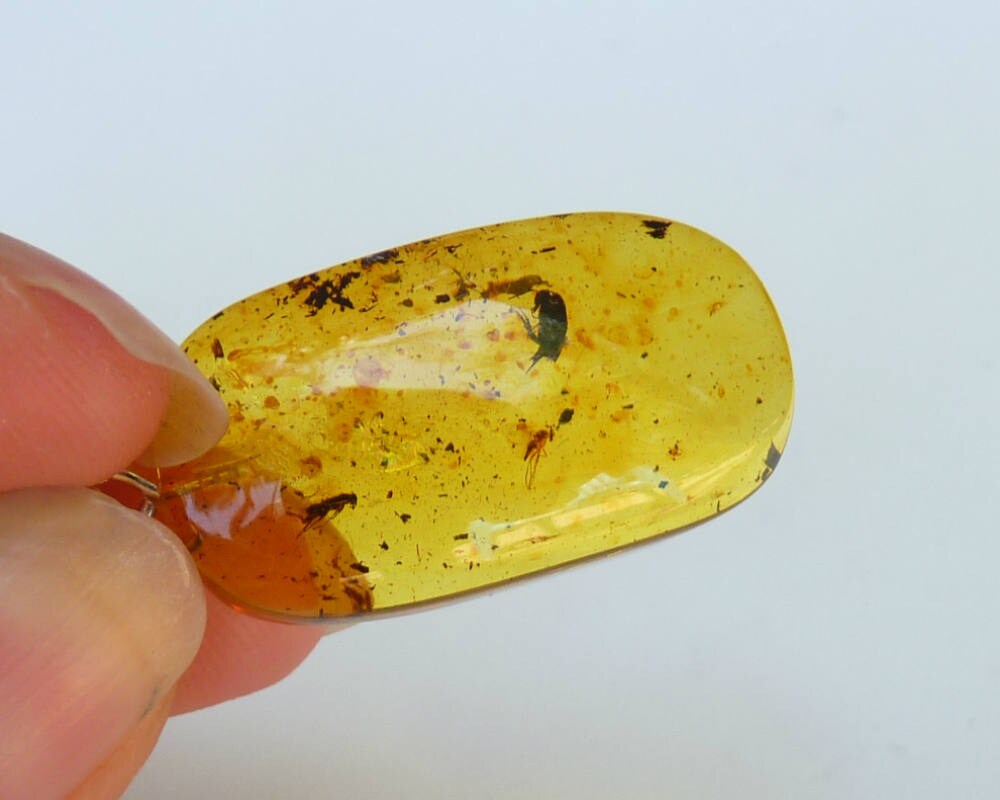 Baltic Amber Pendant with Fossil Insect Bugs Honey Natural 1.58" 3.1 gram 925 Silver