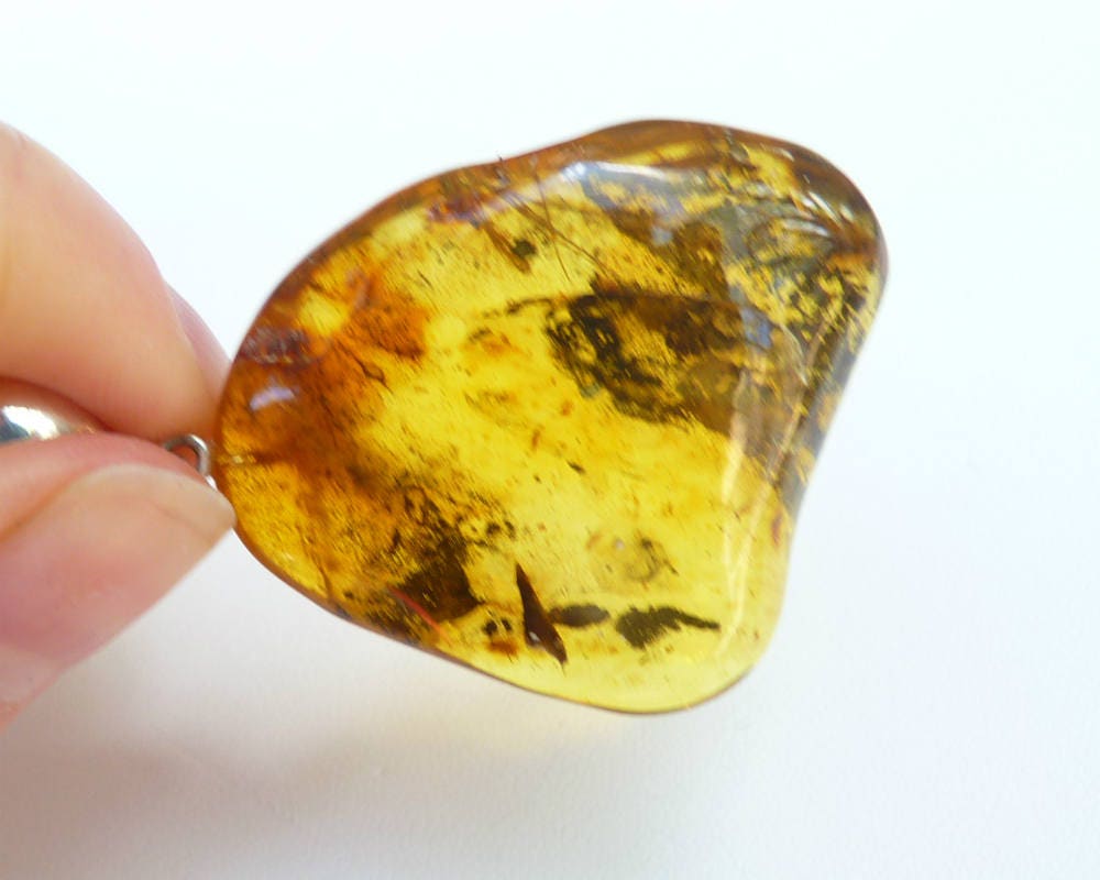 Baltic Amber Pendant with Fossil Insect and Debris Natural Untreated Inclusions 2.14" 9.6 gram 925 Silver