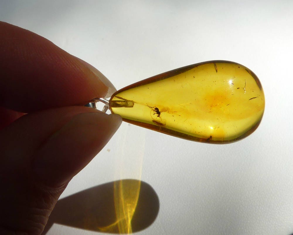 Baltic Amber Pendant with Fossil Insect Drop Natural Honey Untreeated 1.58" 3.4 gram