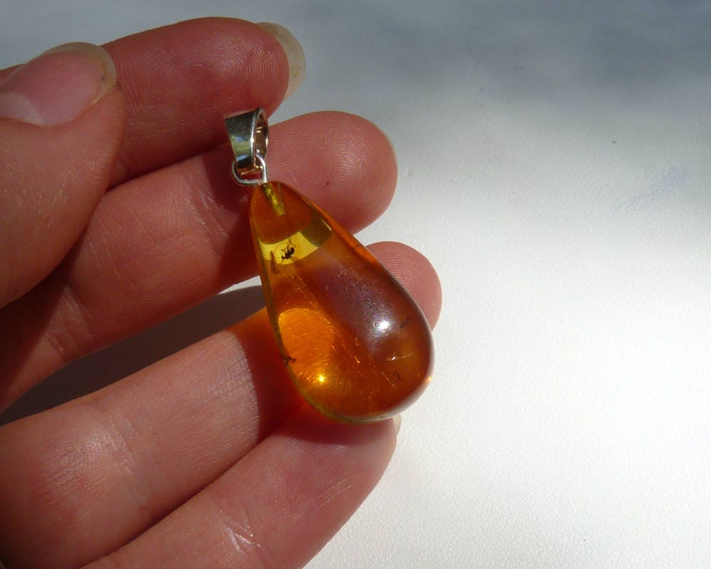 Baltic Amber Pendant with Fossil Insect Drop Natural Honey Untreeated 1.58" 3.4 gram