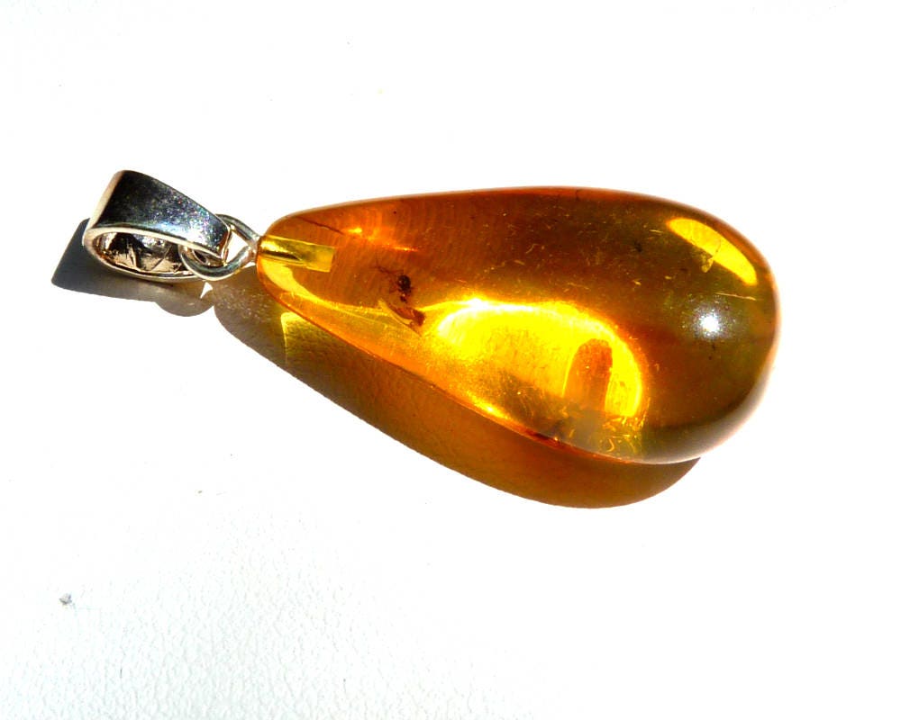 Baltic Amber Pendant with Fossil Insect Drop Natural Honey Untreeated 1.58" 3.4 gram