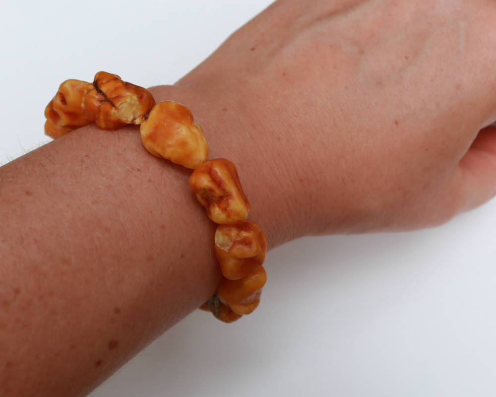 Baltic Amber Nodule Drop Bracelet Natural Untreated Raw 7.5″ 13.8 gram