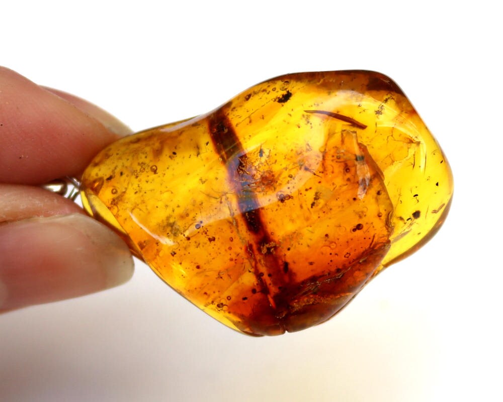 Baltic Amber Pendant with Fossil Insect Ant Natural Honey Untreated 2" 8.4 gram