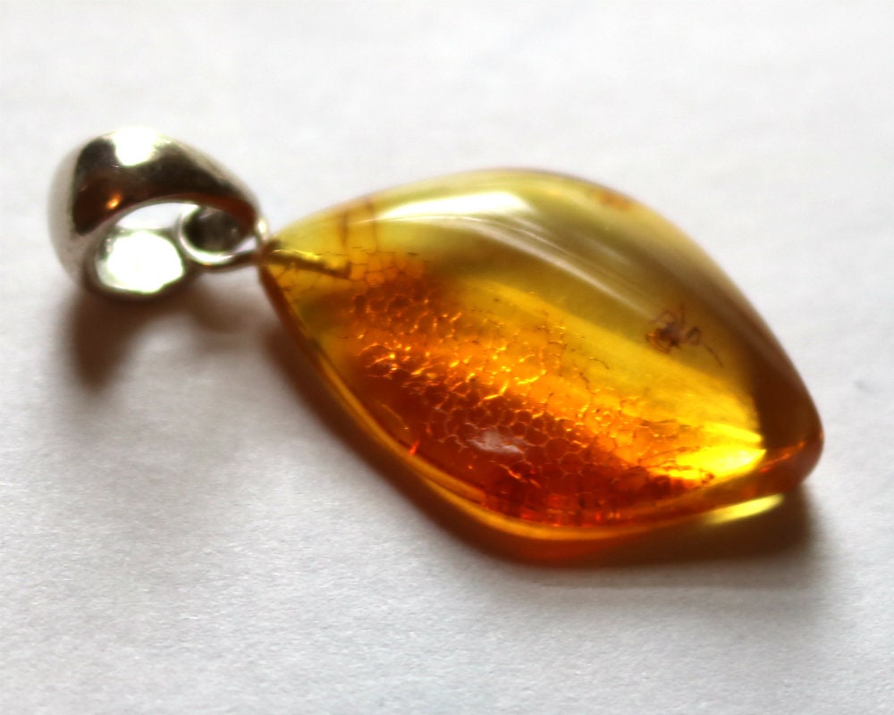 Baltic Amber Pendant with Fossil Insect Spider Natural Untreated Honey 1.69" 3.2 gram 925 Silver