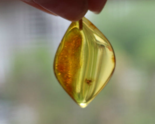 Baltic Amber Pendant with Fossil Insect Spider Natural Untreated Honey 1.69" 3.2 gram 925 Silver