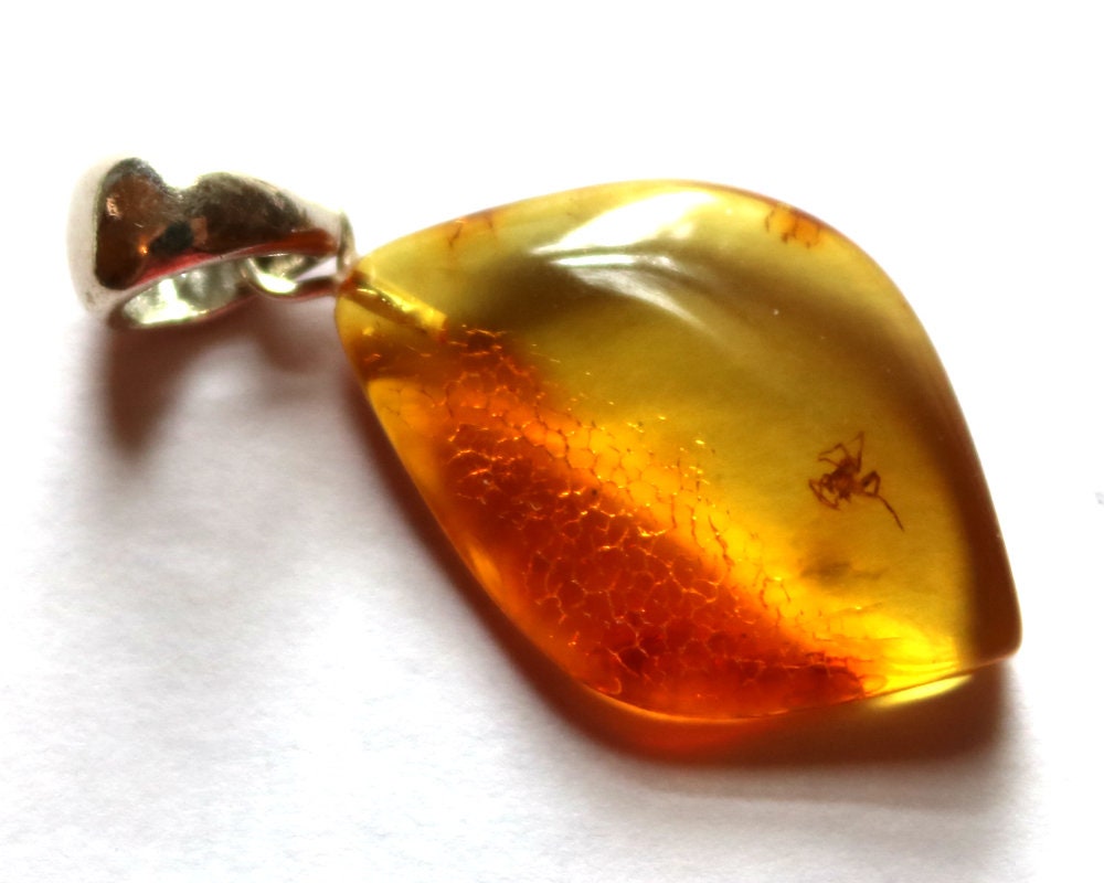 Baltic Amber Pendant with Fossil Insect Spider Natural Untreated Honey 1.69" 3.2 gram 925 Silver