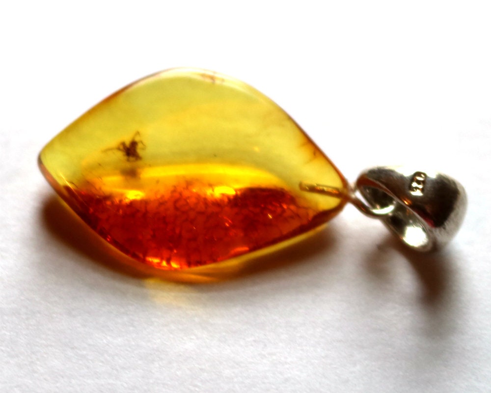 Baltic Amber Pendant with Fossil Insect Spider Natural Untreated Honey 1.69" 3.2 gram 925 Silver
