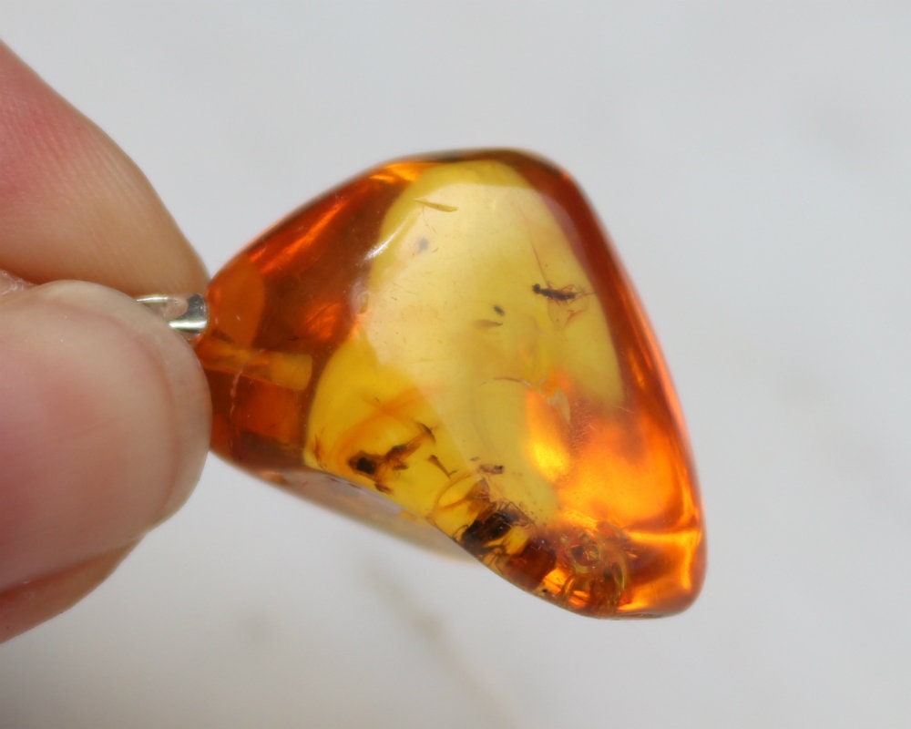 Baltic Amber Jewelry Keychain with Fossil Insects Inclusions Natural 8.1 gram 925 Silver
