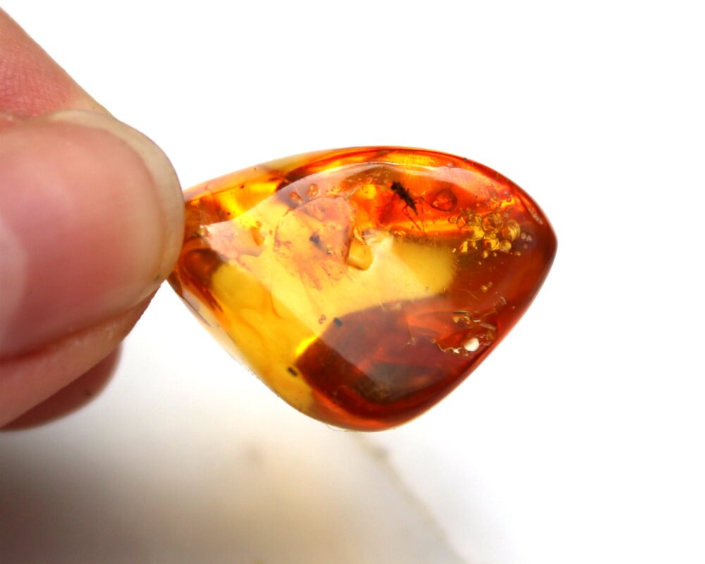 Baltic Amber Jewelry Keychain with Fossil Insects Inclusions Natural 8.1 gram 925 Silver