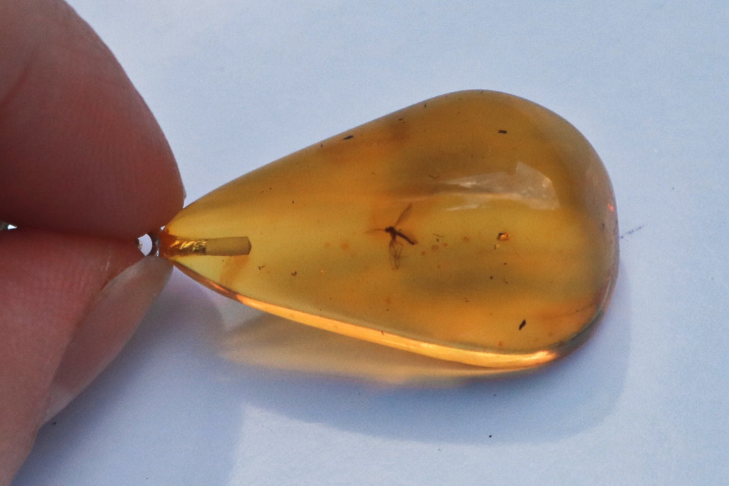 Baltic Amber Pendant with Fossil Insect Drop Honey Natural Untreated Jewelry 1.77" 4.5 gram 925 Silver