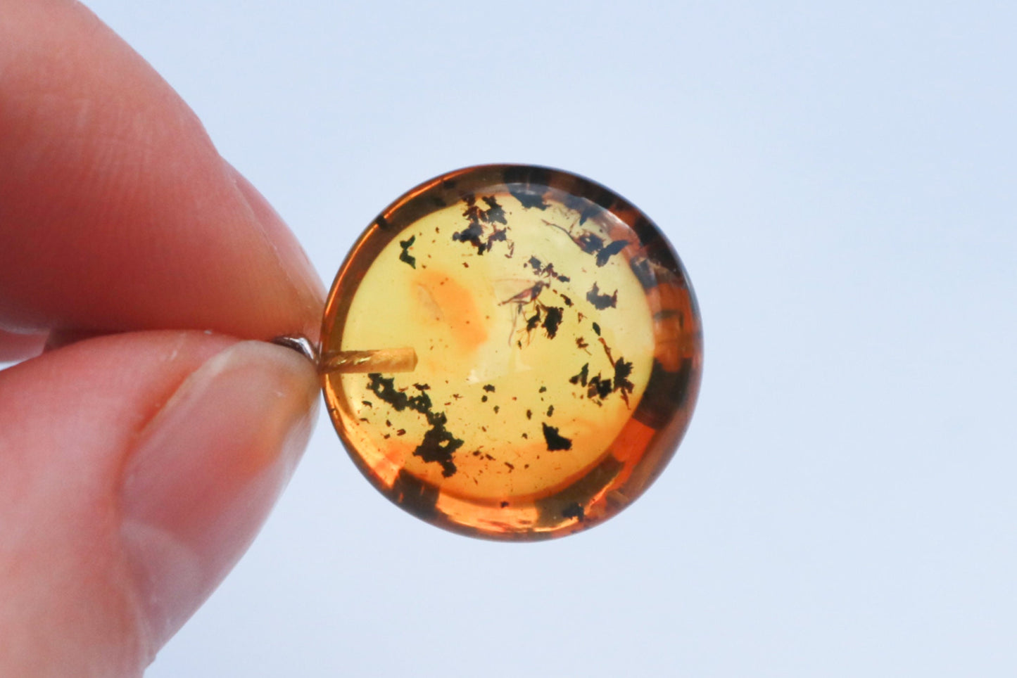 Baltic Amber Pendant Fossil Insect Round Inclusions Honey Natural 1.29" 3.3 gram 925 Silver