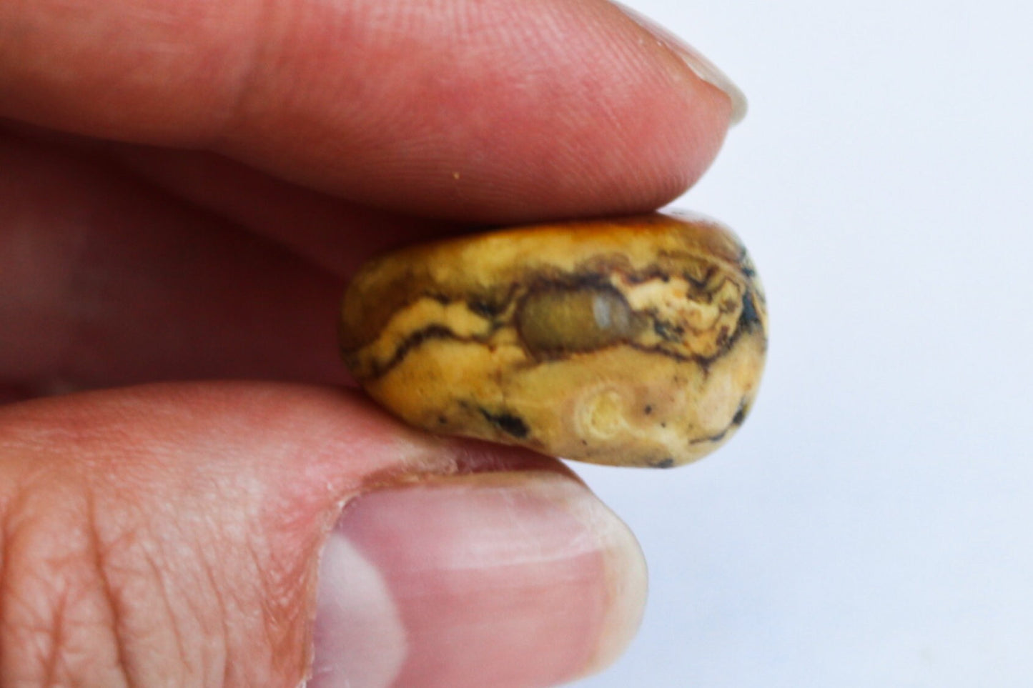 Baltic Amber Charm Bead Raw Butterscotch Natural Untreated 0.8"