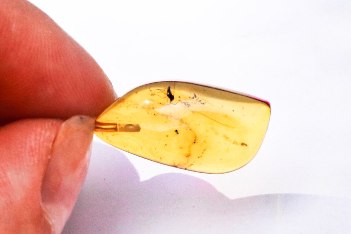 Baltic Amber Pendant with Fossil Insect Natural Untreated Honey 1.25" 1.6 gram 925 Silver
