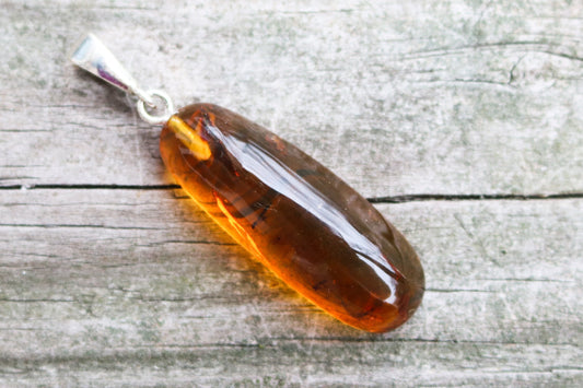 Baltic Amber Pendant Fossil Insects Multiple Natural Honey Untreated 1.95" 4.4 gram