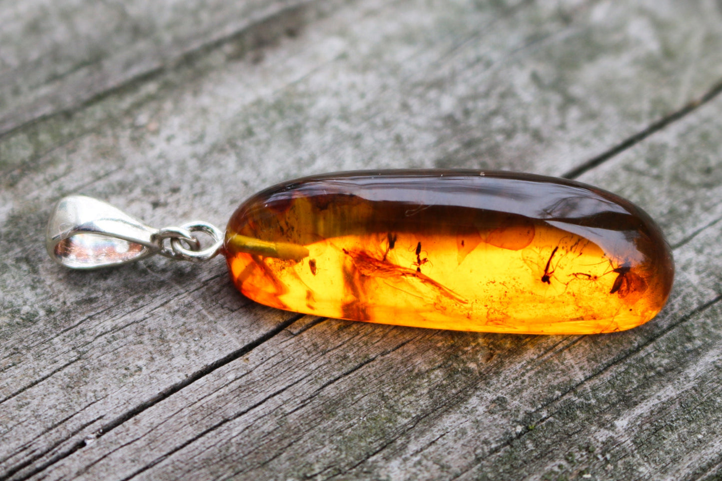 Baltic Amber Pendant Fossil Insects Multiple Natural Honey Untreated 1.95" 4.4 gram
