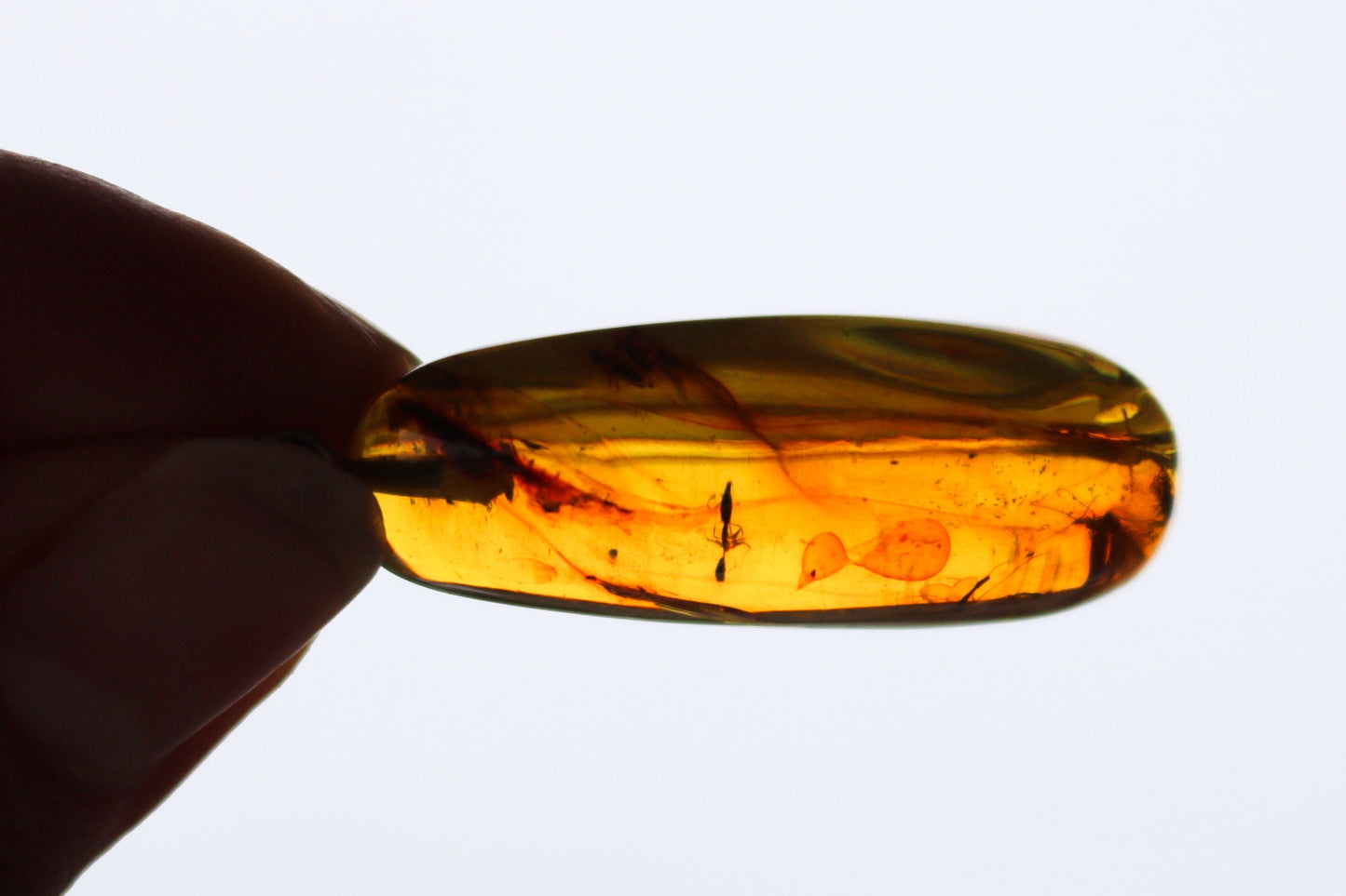 Baltic Amber Pendant Fossil Insects Multiple Natural Honey Untreated 1.95" 4.4 gram
