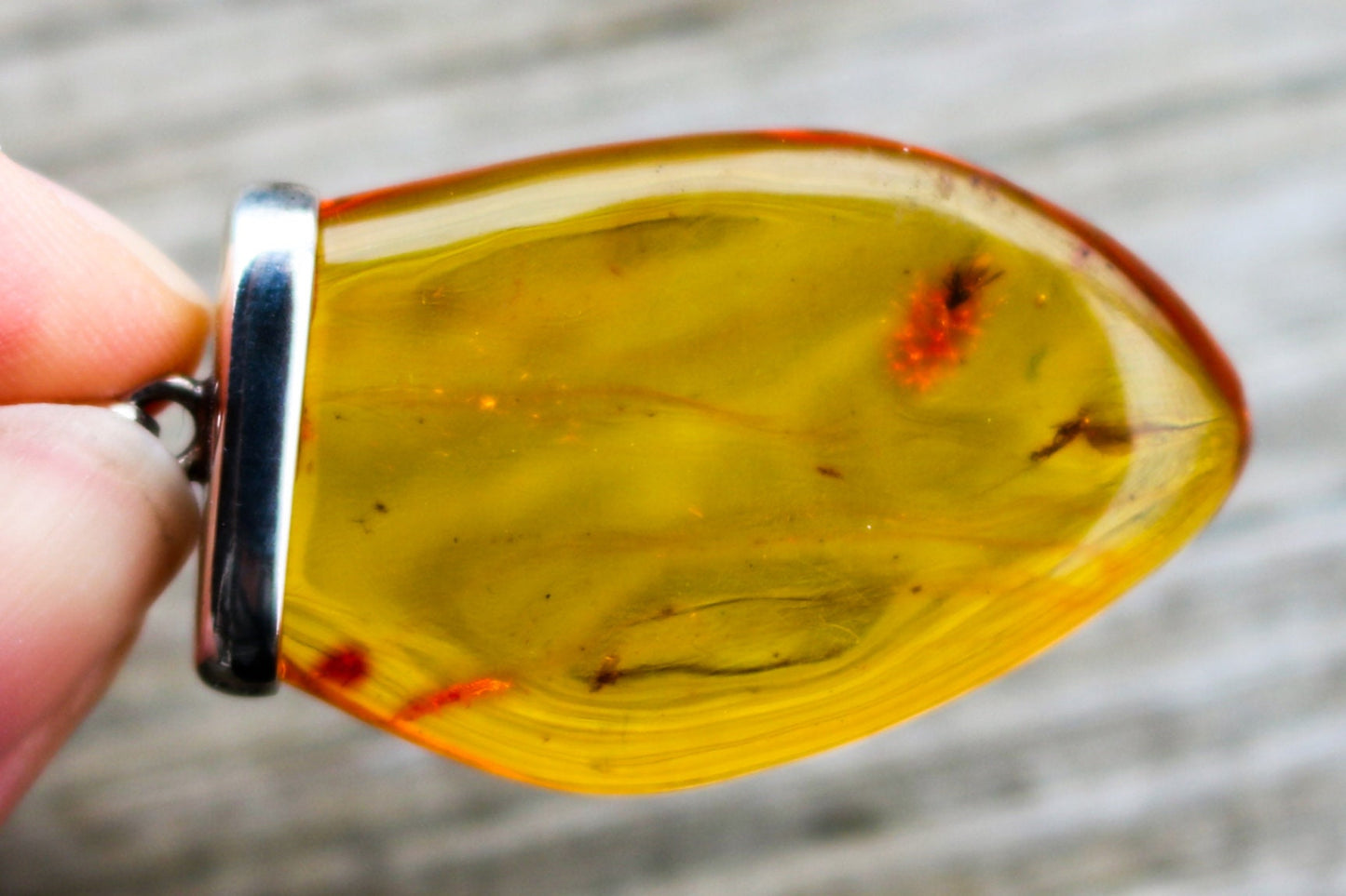 Baltic Amber Pendant with Fossil Insect Yellow Natural 2" 925 Silver 7.1 gram
