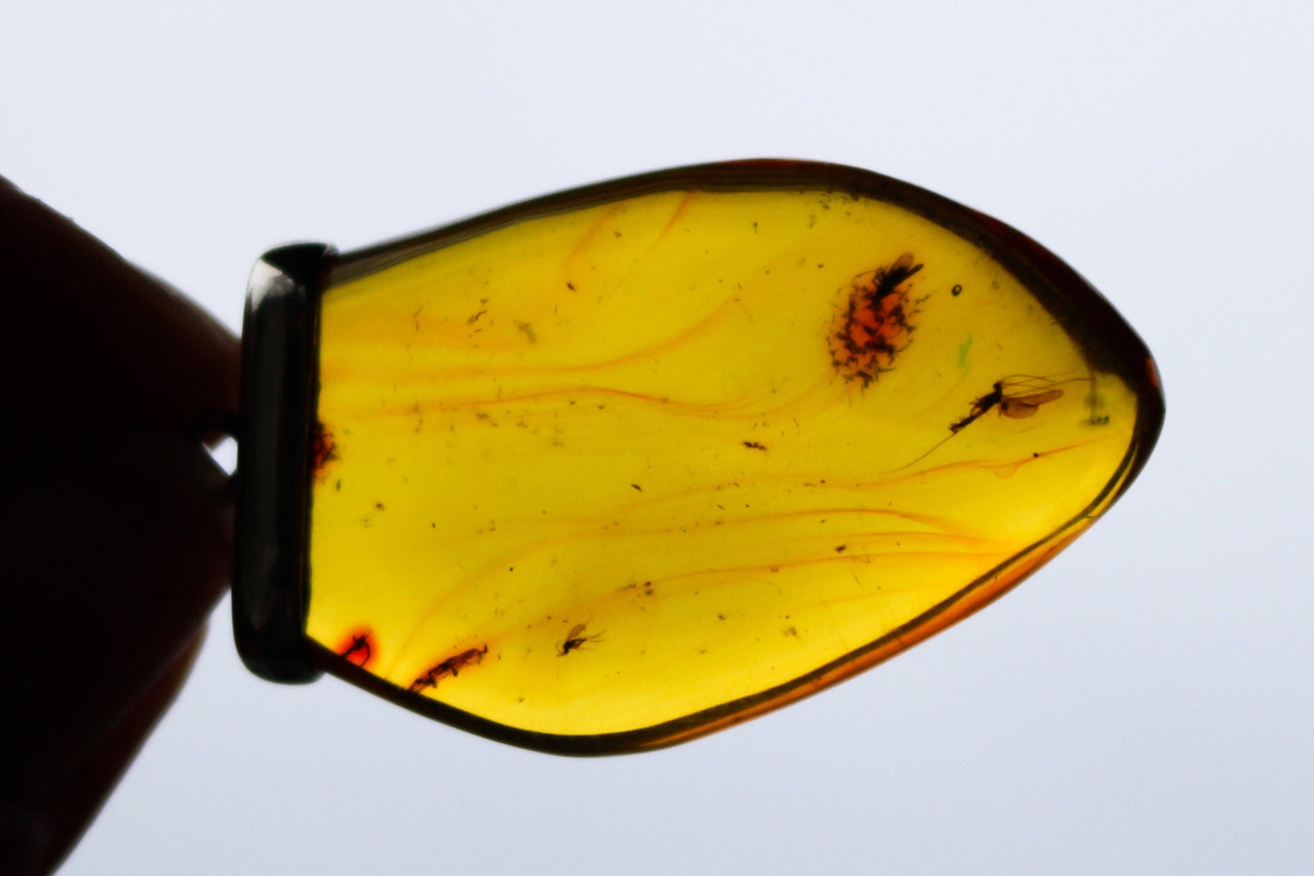 Baltic Amber Pendant with Fossil Insect Yellow Natural 2" 925 Silver 7.1 gram
