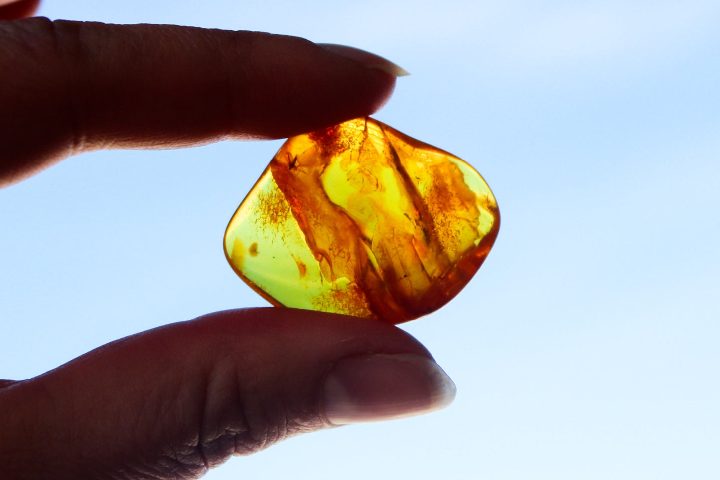 Baltic Amber Chunk Nugget Honey With Fossil Insect Inclusions 5.1 gram
