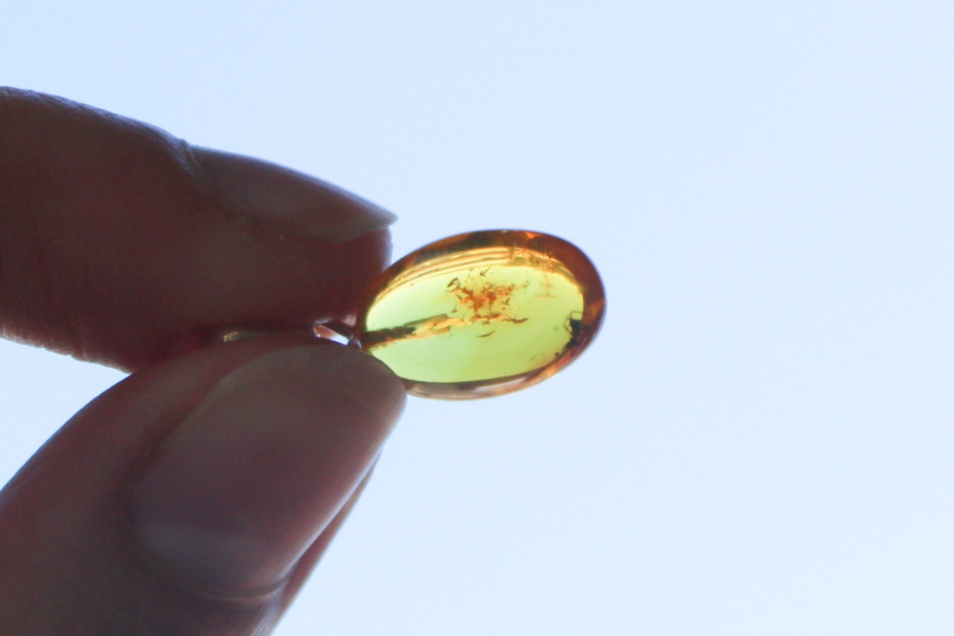 Baltic Amber Pendant with Fossil Insect Egg Shape Small Natural Untreated Honey Unisex 1" 1.4 gram