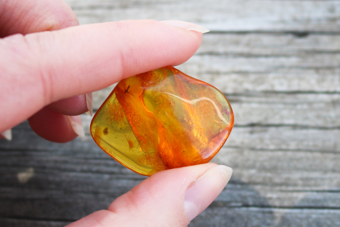 Baltic Amber Chunk Nugget Honey With Fossil Insect Inclusions 5.1 gram