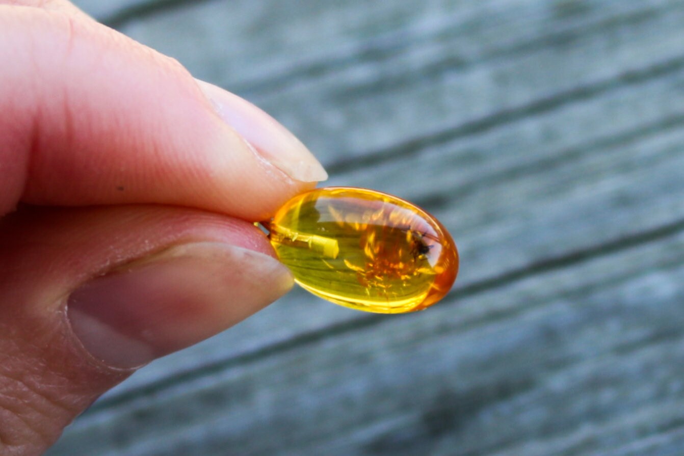Baltic Amber Pendant with Fossil Insect Egg Shape Small Natural Untreated Honey Unisex 1" 1.4 gram