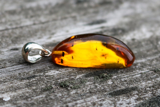 Baltic Amber Pendant Fossil Insects Honey Natural Untreated 1.87" 5 gram 925 Silver