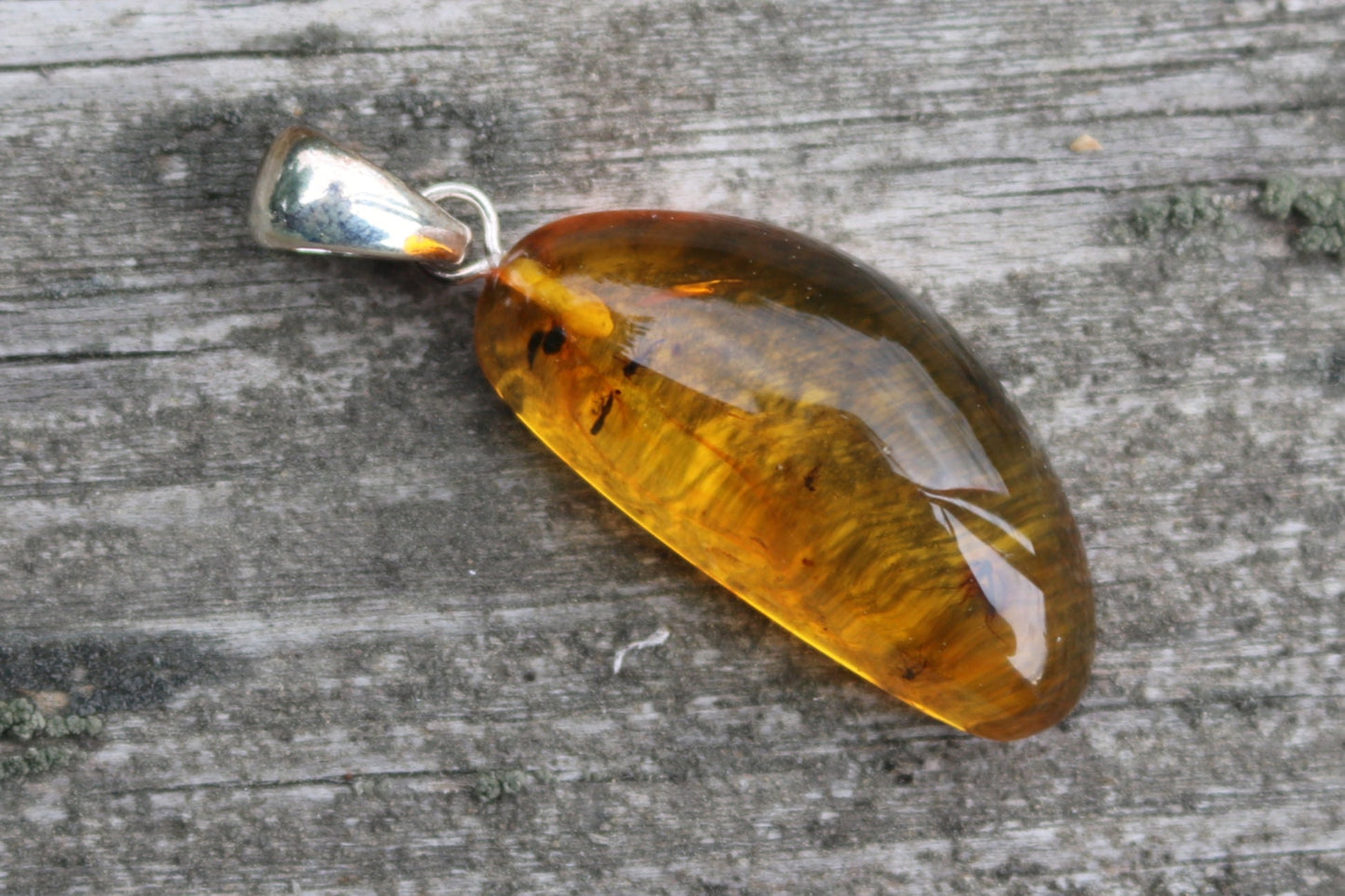 Baltic Amber Pendant Fossil Insects Honey Natural Untreated 1.87" 5 gram 925 Silver