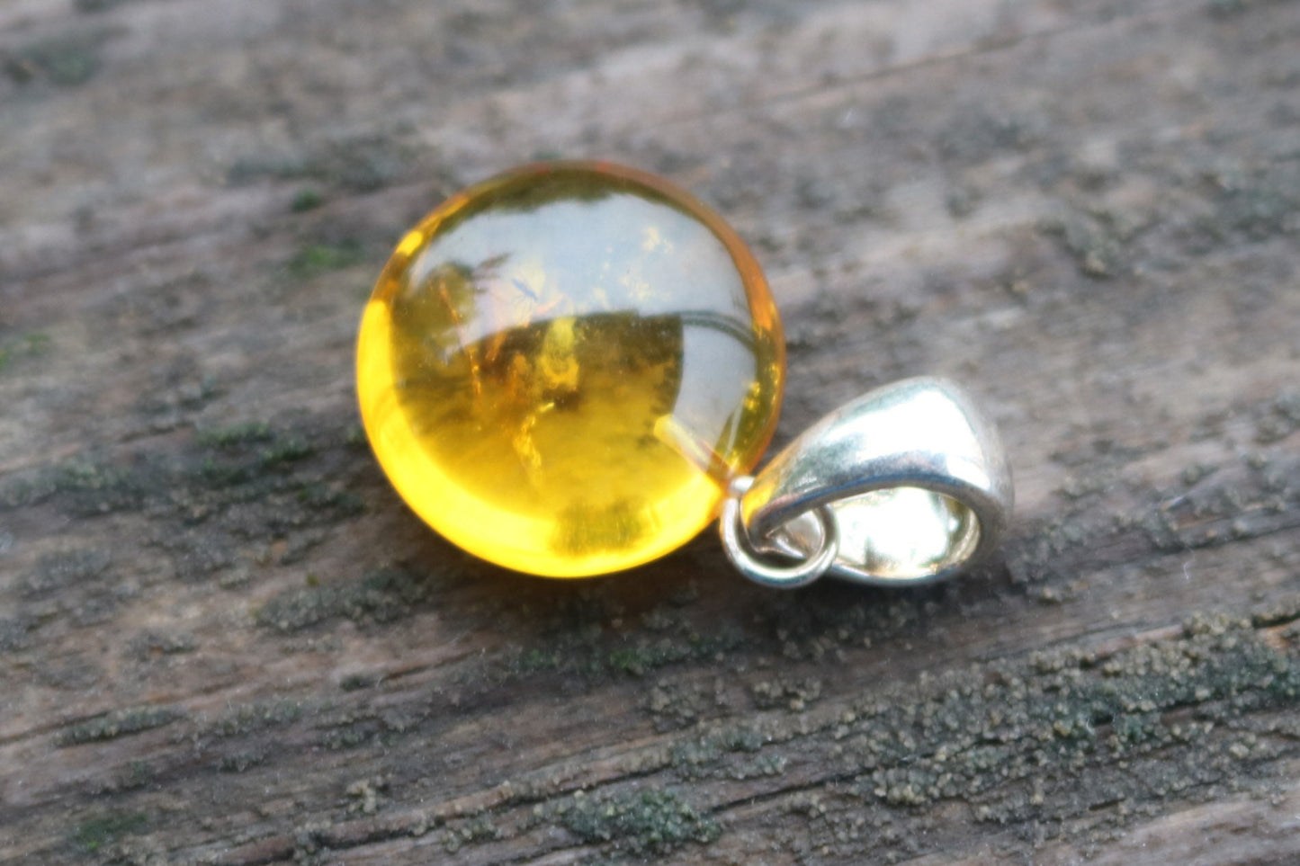 Baltic Amber Pendant Fossil Insect Round Natural Honey Unisex Jewelry 1.16" 2.8 gram 925 silver