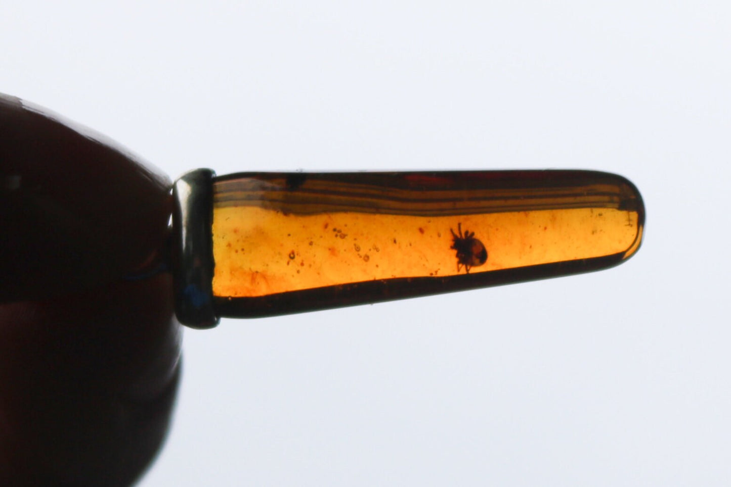 Baltic Amber Pendant Fossil Insect Spider Natural Inclusions Honey Unisex 1.68" 2.9 gram 925 Silver