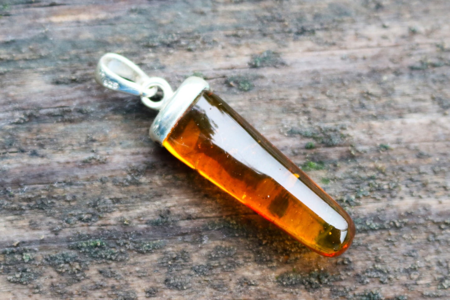 Baltic Amber Pendant Fossil Insect Spider Natural Inclusions Honey Unisex 1.68" 2.9 gram 925 Silver