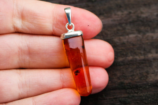 Baltic Amber Pendant Fossil Insect Spider Natural Inclusions Honey Unisex 1.68" 2.9 gram 925 Silver