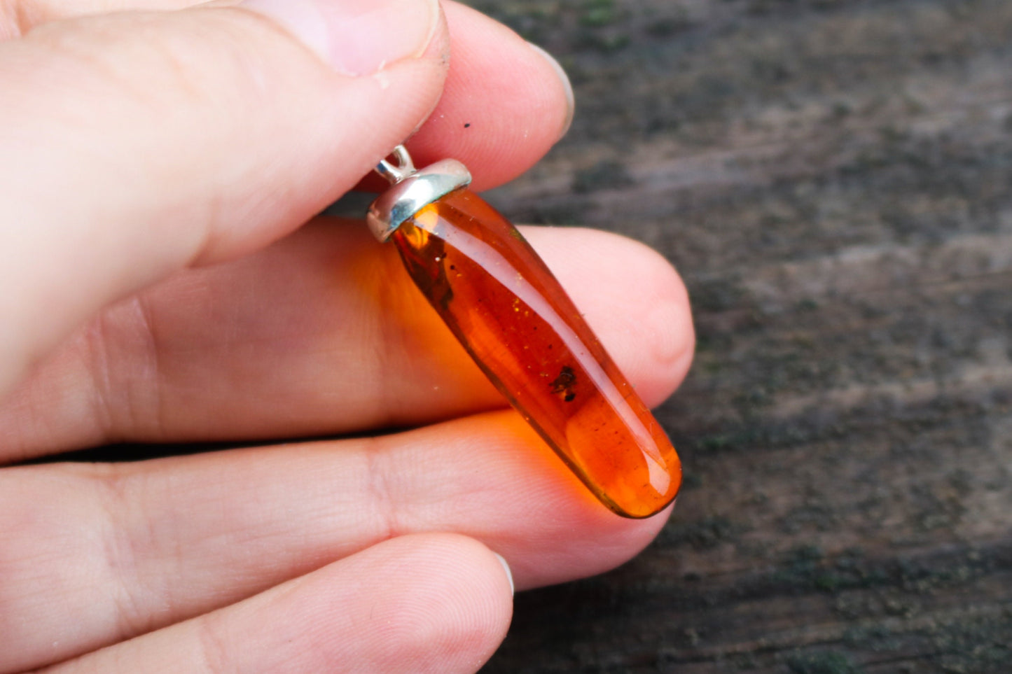 Baltic Amber Pendant Fossil Insect Spider Natural Inclusions Honey Unisex 1.68" 2.9 gram 925 Silver