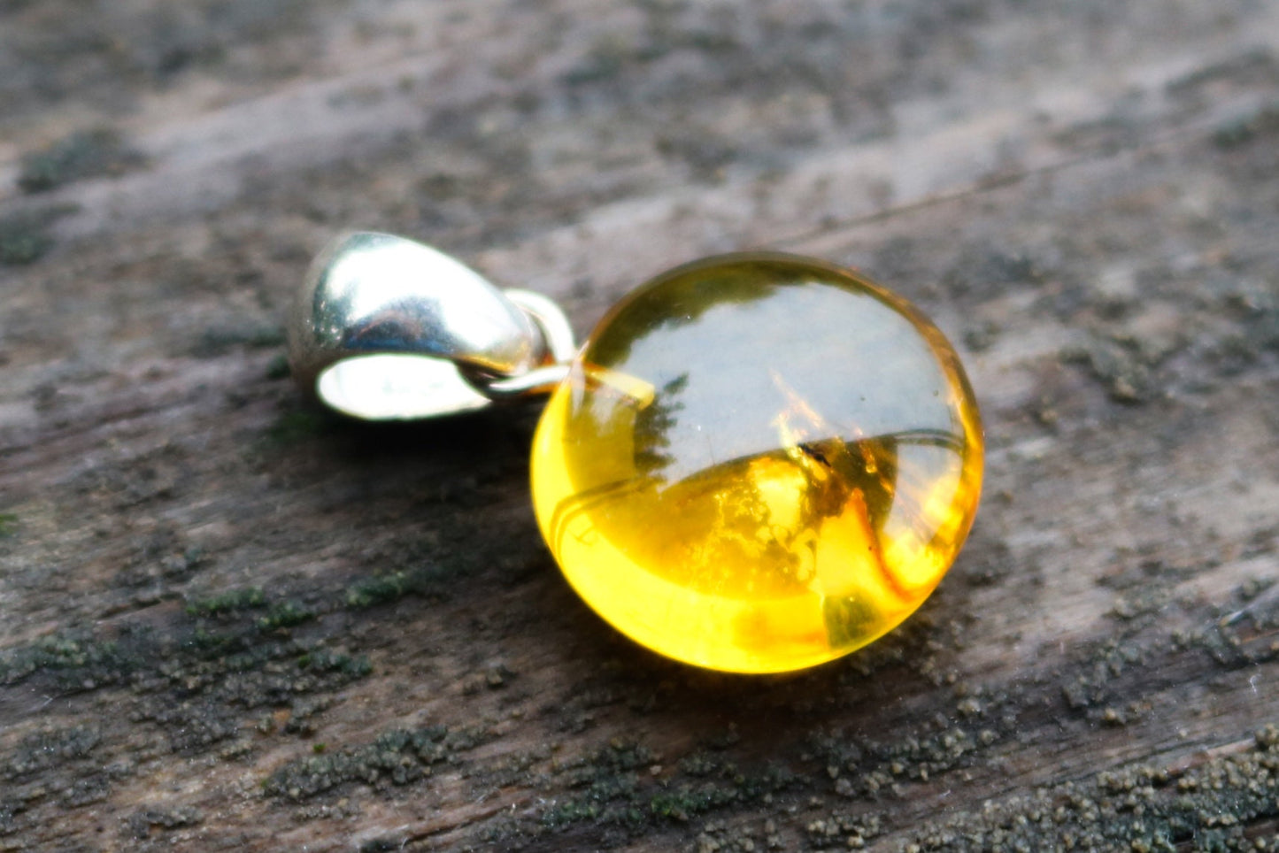 Baltic Amber Pendant Fossil Insect Round Natural Honey Unisex Jewelry 1.16" 2.8 gram 925 silver