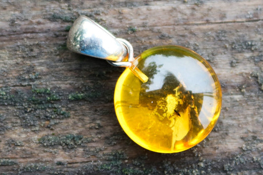 Baltic Amber Pendant Fossil Insect Round Natural Honey Unisex Jewelry 1.16" 2.8 gram 925 silver