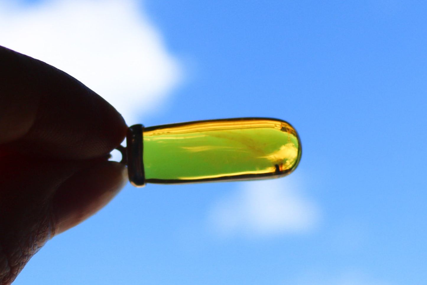 Baltic Amber Pendant Fossil Insect Natural Untreated Honey Unisex 1.61" 3.2 gram 925 Silver