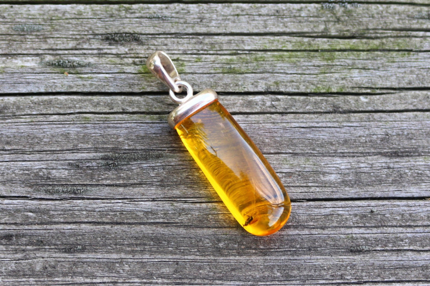 Baltic Amber Pendant Fossil Insect Natural Untreated Honey Unisex 1.61" 3.2 gram 925 Silver