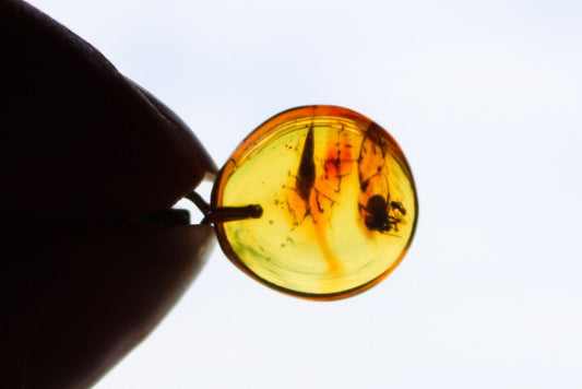 Baltic Amber Pendant Fossil Insect Spider Natural Honey Unisex Jewelry 1.05" 1.6 gram 925 silver