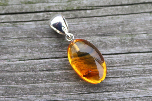 Baltic Amber Pendant With Fossil Insect Oval Honey Natural 1.62" 2.6 gram 925 Silver