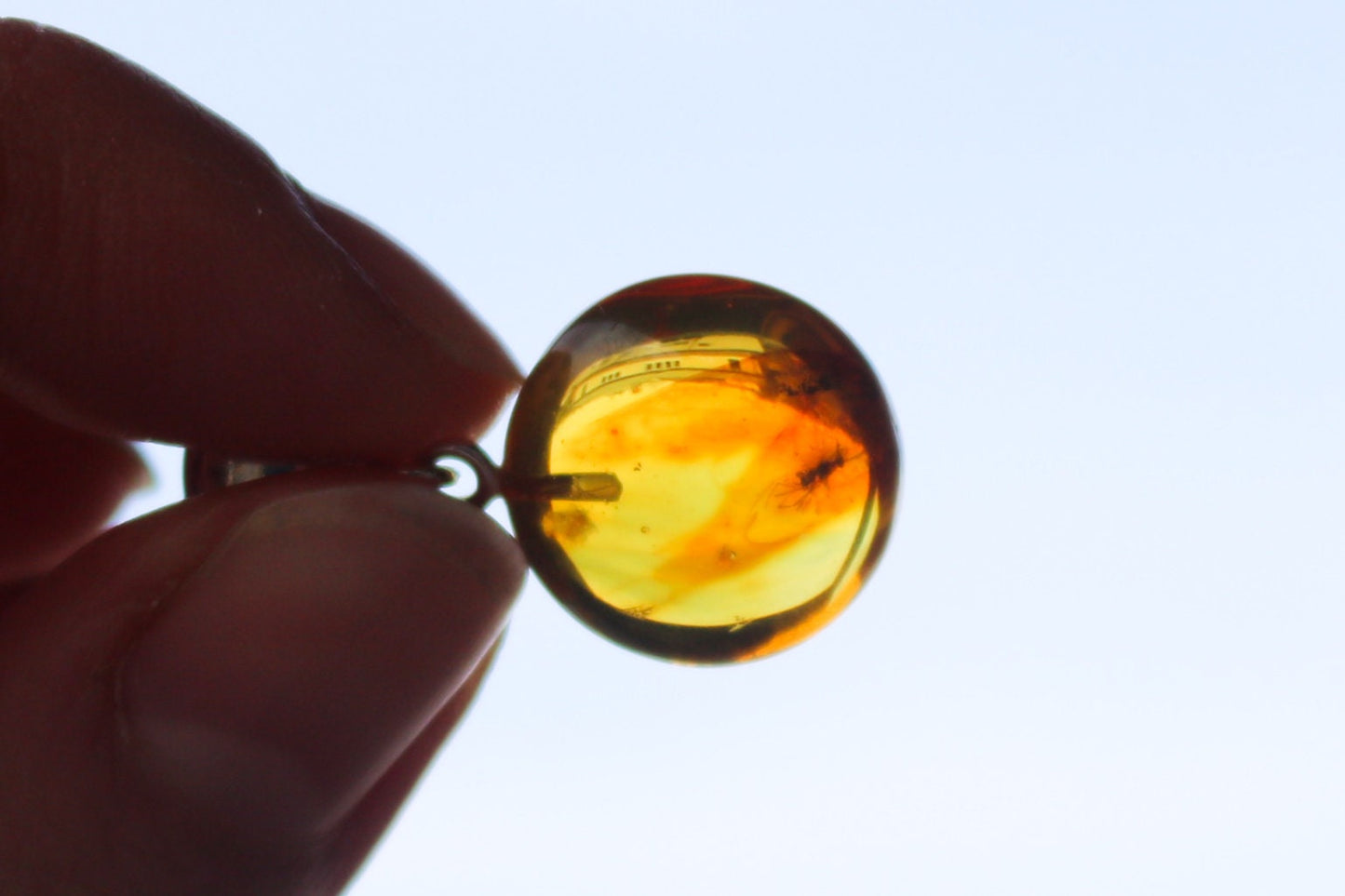 Baltic Amber Pendant Round with Fossil Insect Natural Honey 1.2" 2.5 gram 925 Silver