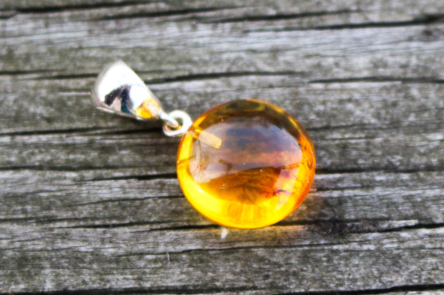 Baltic Amber Pendant Round with Fossil Insect Natural Honey 1.2" 2.5 gram 925 Silver