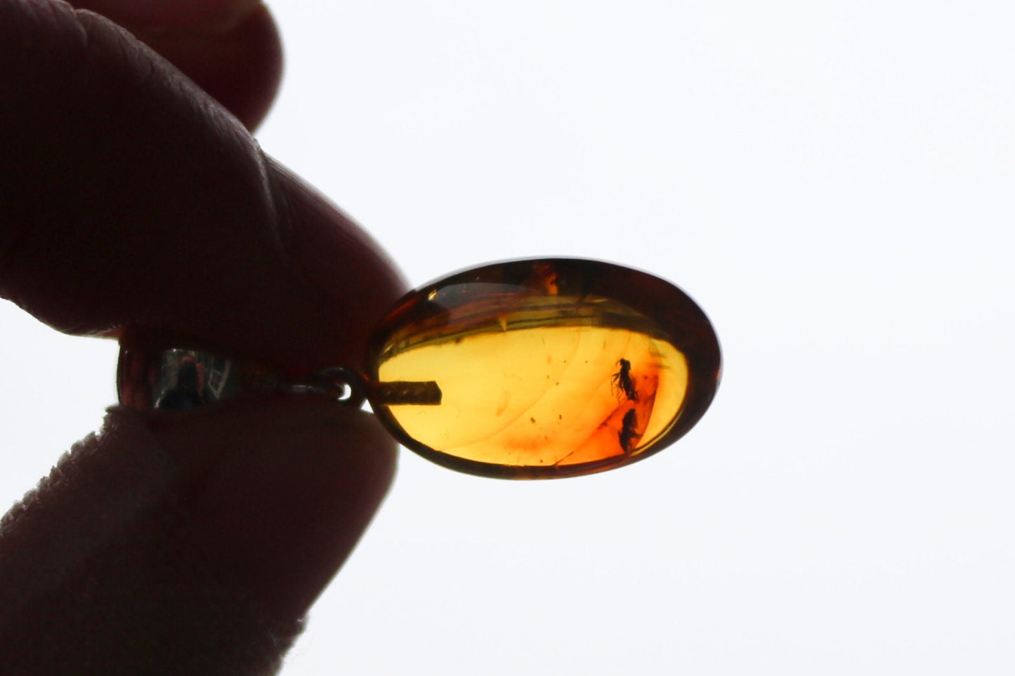 Baltic Amber Pendant With Fossil Insect Oval Honey Natural 1.62" 2.6 gram 925 Silver